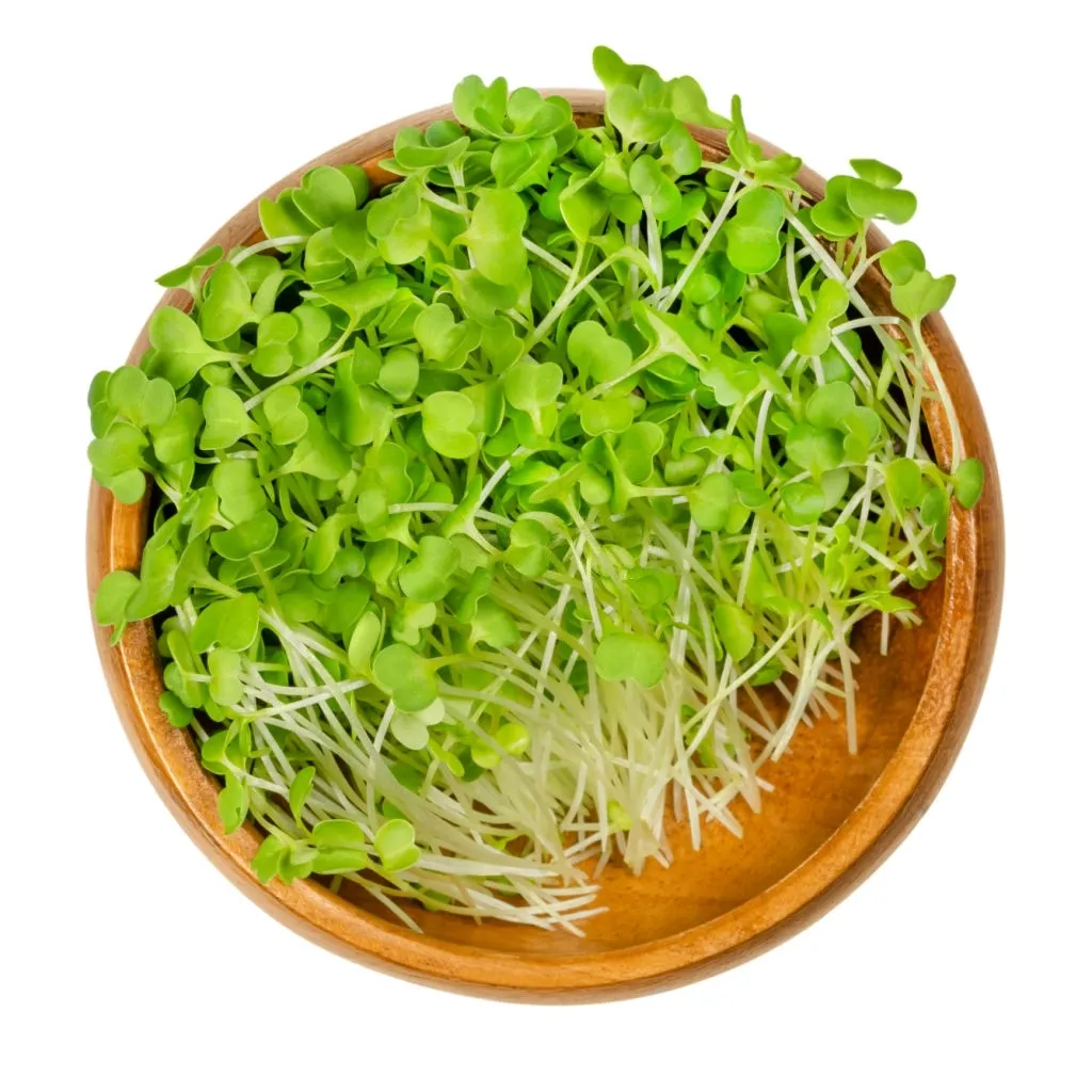 microgreens in bowl