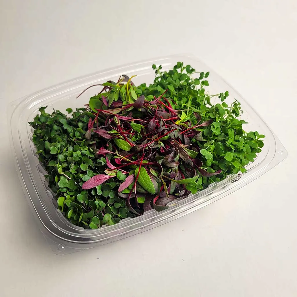 microgreens salad mix