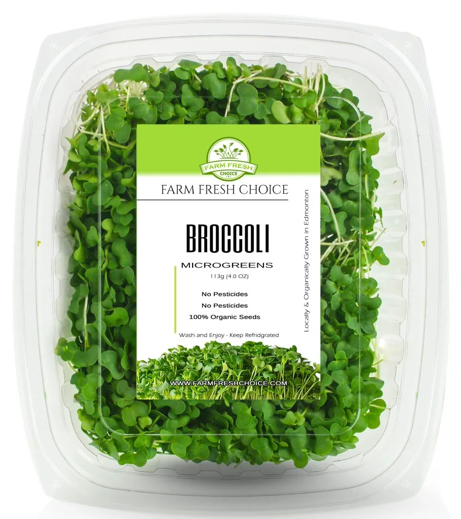 Broccoli Microgreens