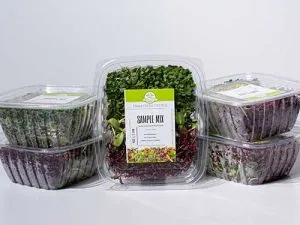Sample Mix Microgreens - Biweekly