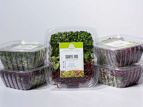 4 Week Microgreens Bundle