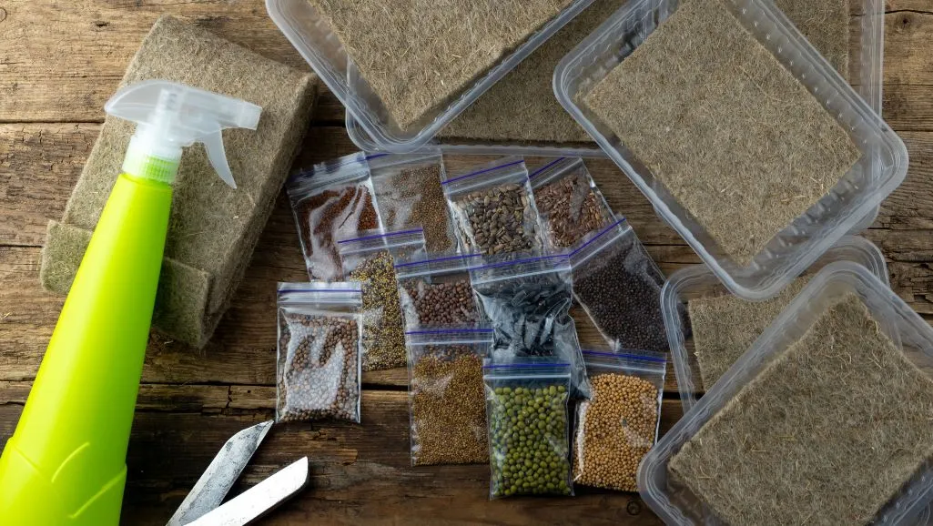stored microgreens seeds
