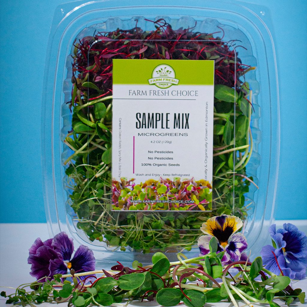 Sample Mix Microgreens