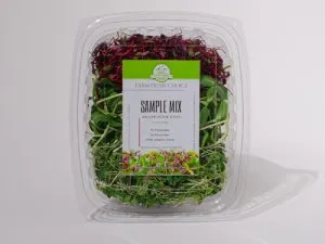 Sample Mix Microgreens - Biweekly