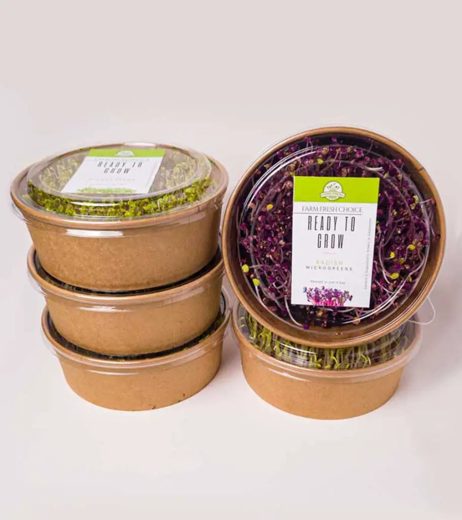 ready to grow microgreens