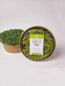 Ready To Grow Microgreens