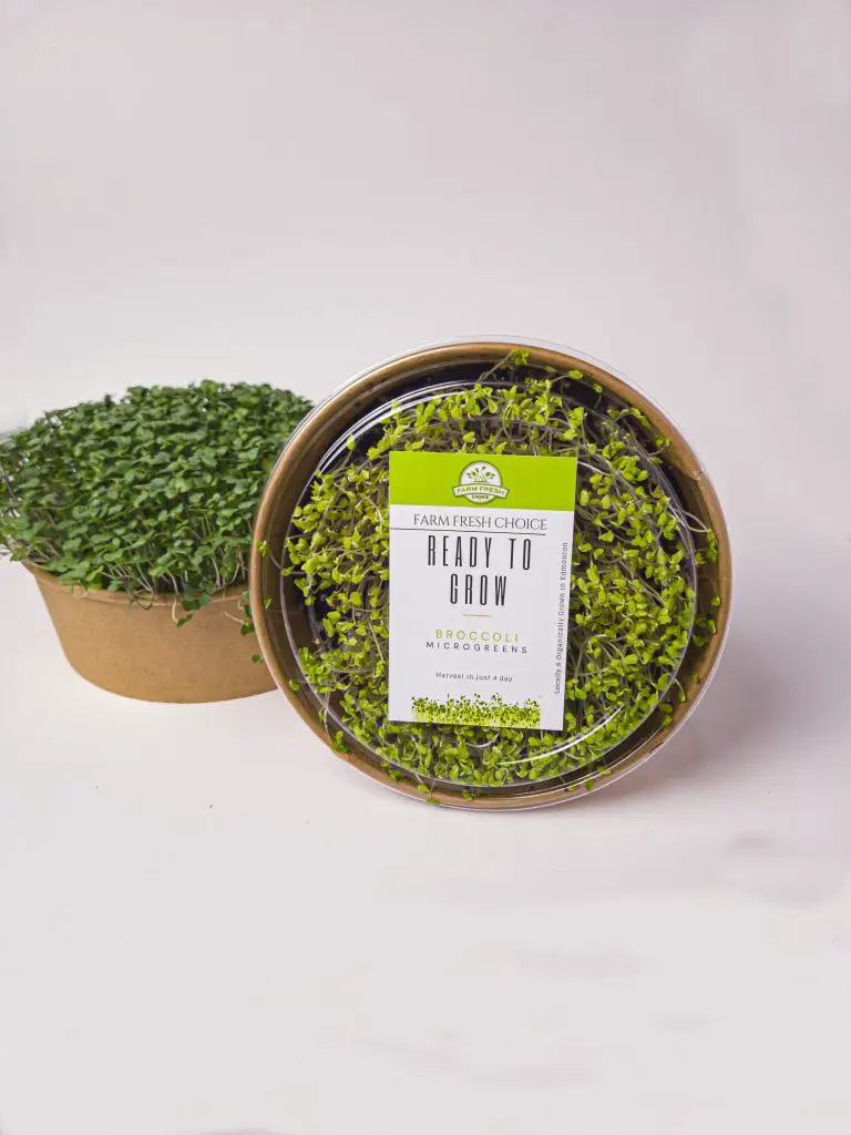 Ready To Grow Microgreens - Individual Kit
