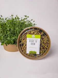 Ready To Grow Microgreens