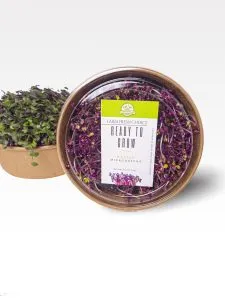 Ready To Grow Microgreens