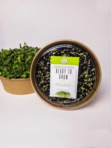 Ready To Grow Microgreens