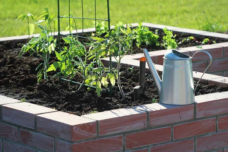 brick raised bed