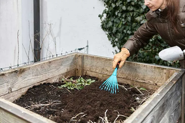 prepare raised bed