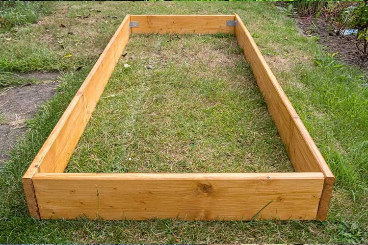 raised bed on grass