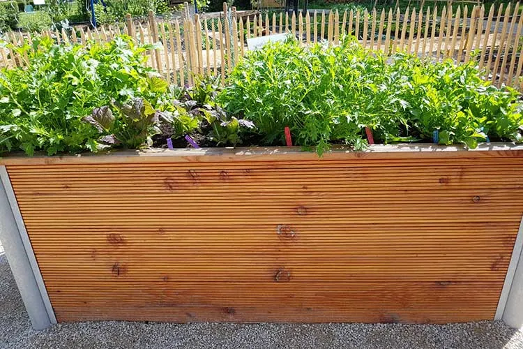 How Deep Should Soil Be In A Raised Bed Farm Fresh Choice