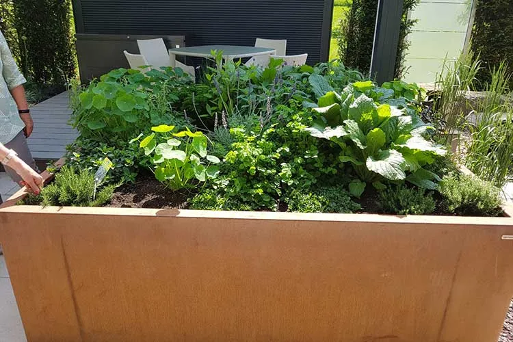 Best Materials for Your Raised Beds Wood, Metal, or Stone? Farm