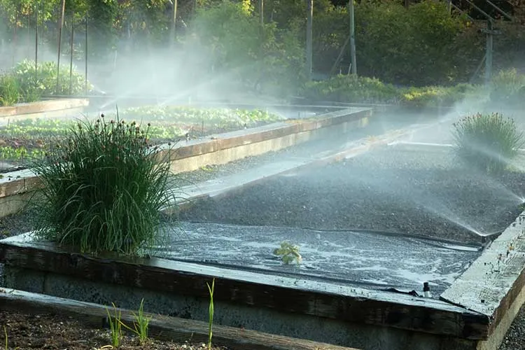 watering raised bed