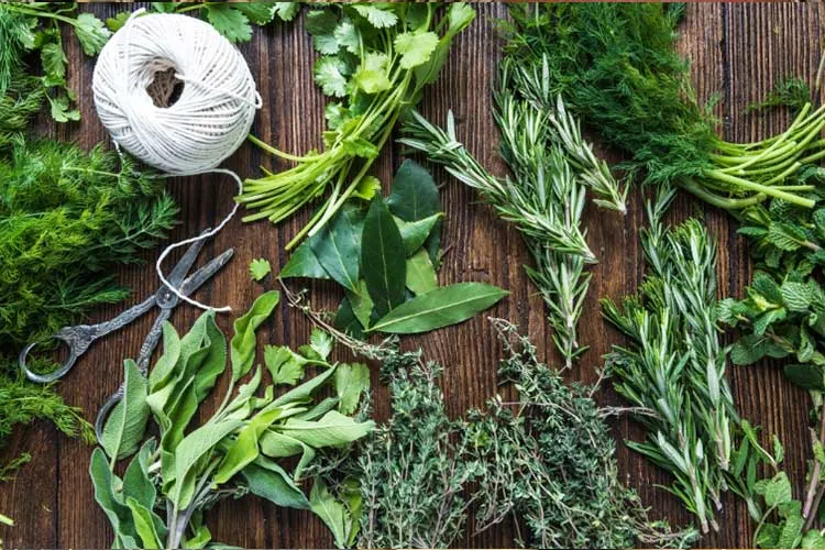 Fresh assorted herbs