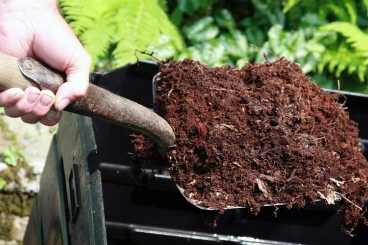 a shovel of compost soil
