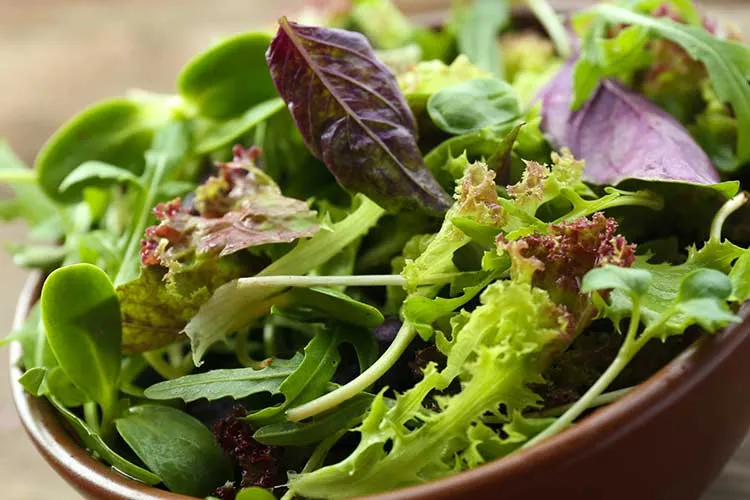 fresh spring mix in a bowl