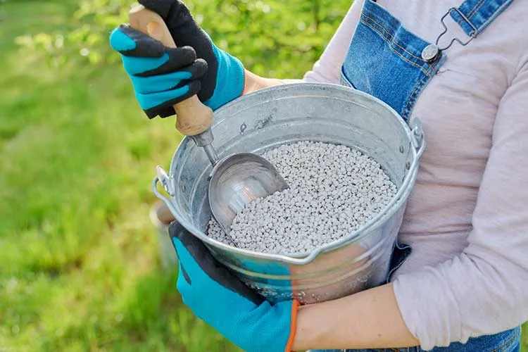 good organic fertilizer