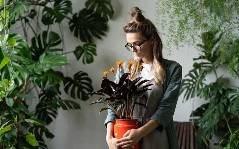 Woman Holding Plant in low light