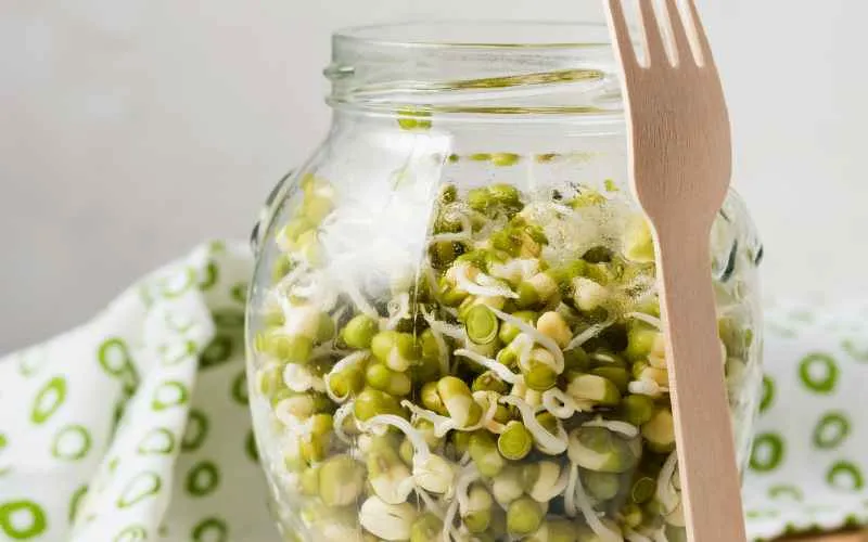 green peas sprout
