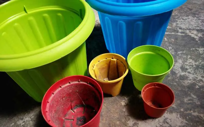 pots of various colours and sizes