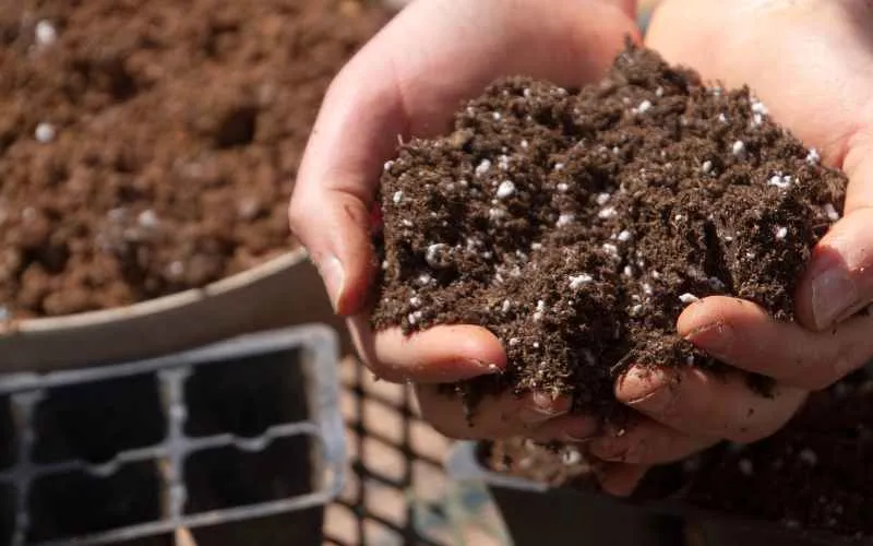 potting soil mix