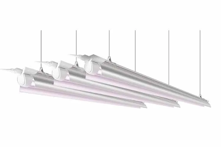 Barrina T8 grow light