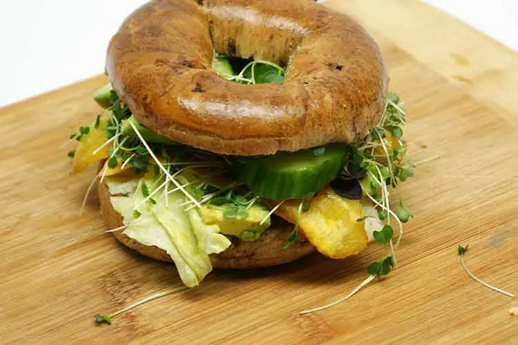 bagel sandwich with microgreens for lunch