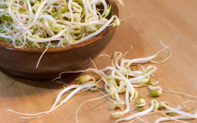 bean sprouts in wooden bowl