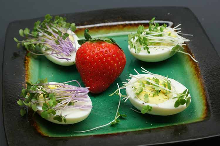 microgreens with eggs for breakfast