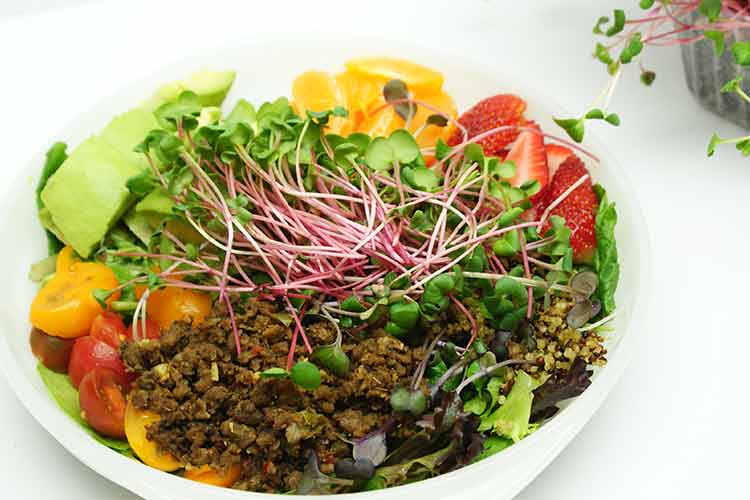 Microgreens in Salads bowl