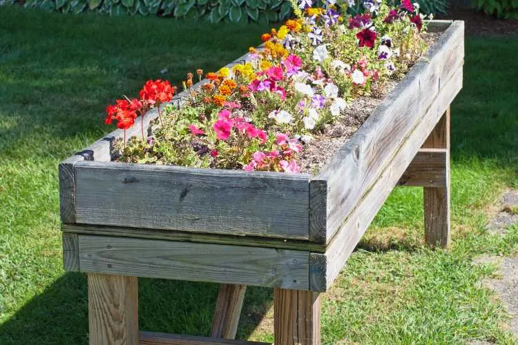 Large planters box with flowers