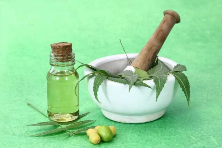 Neem oil extact