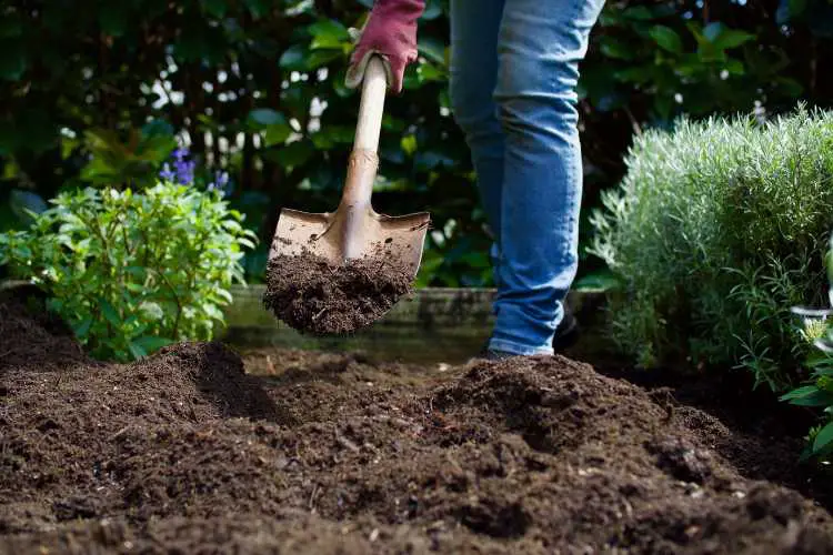 adding soil to Planter Boxes