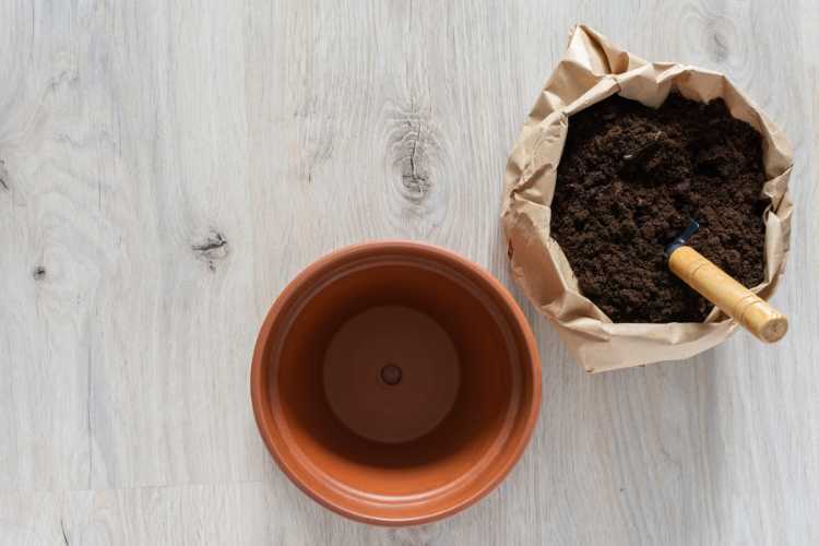 clay pot and potting Soil