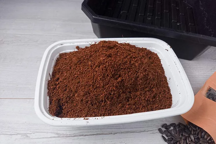 coco coir in white contaner