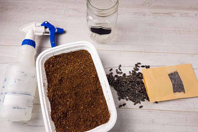 microgreens supplies to grow