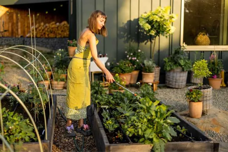 woman using Safe Insecticides for Home Garden