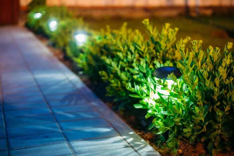 motion sensor garden light