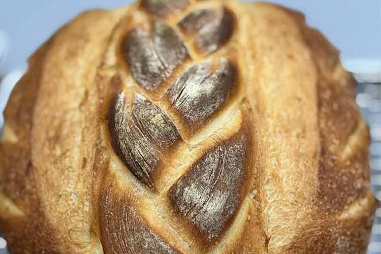 La French Taste sourdough bread