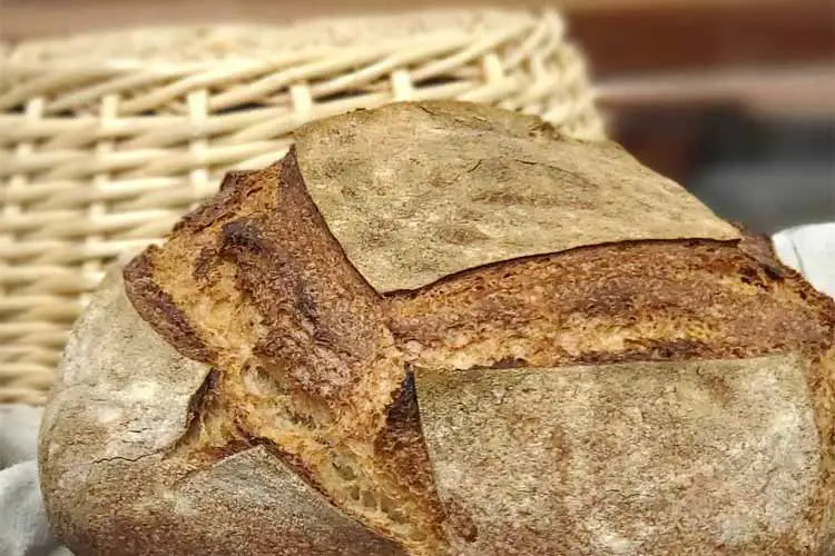 breadland bakery sourdough bread