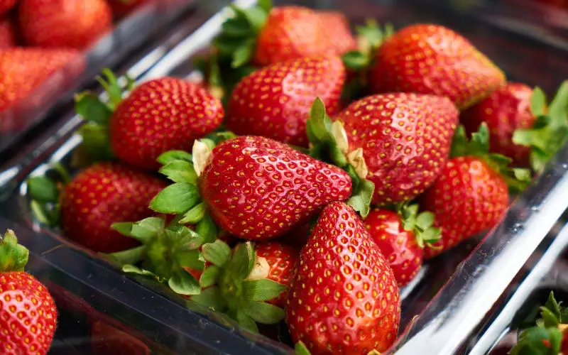 store strawberries