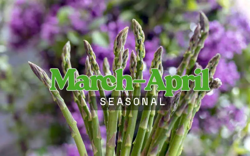 Asparagus seasonal