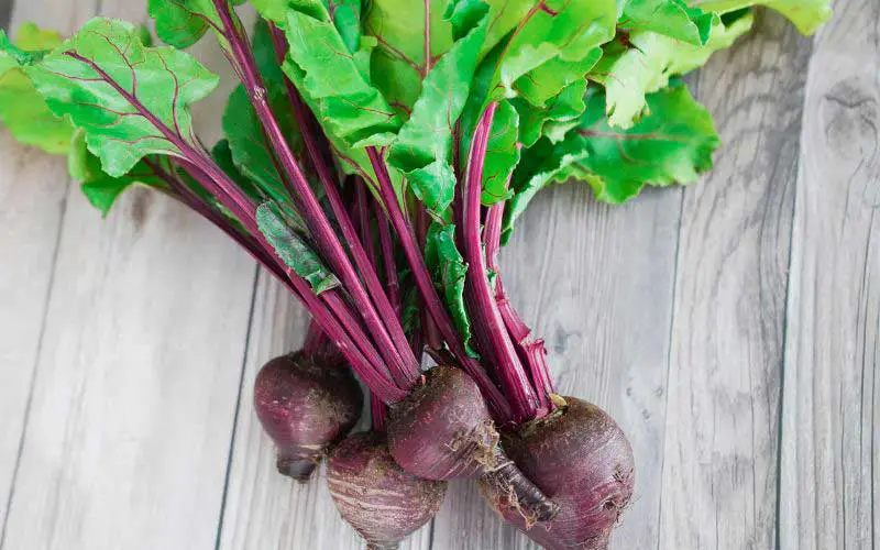 beets in season