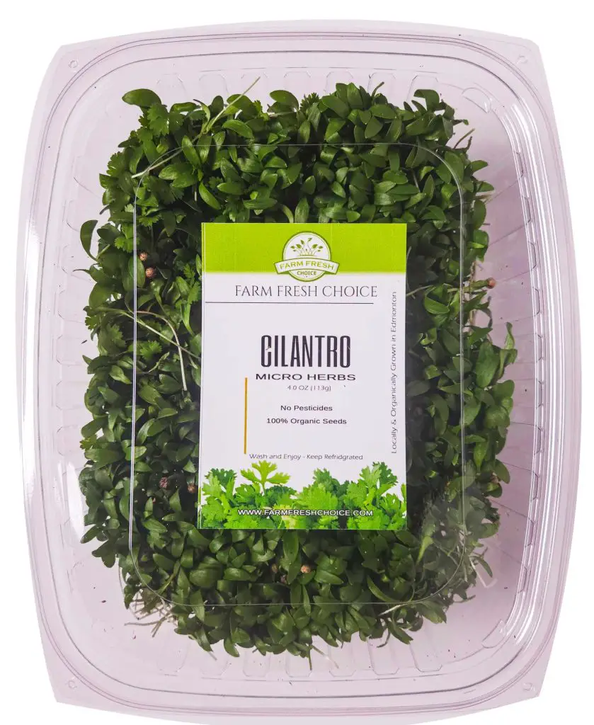 micro cilantro