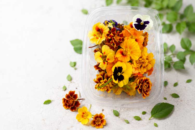 fresh edible flowers